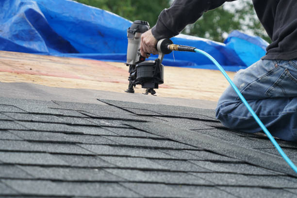 Best Roof Leak Repair  in Peoria Heights, IL