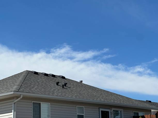 Professional Roofing Service in Peoria Heights, IL